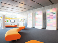 ���������XXX